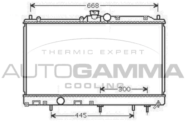 Radiator, engine cooling (105398)