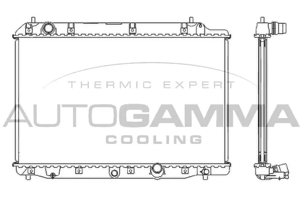 Radiator, engine cooling (105126)