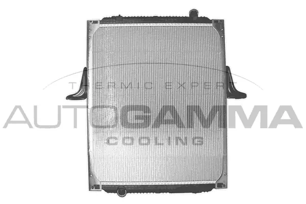 Radiator, engine cooling (403590)