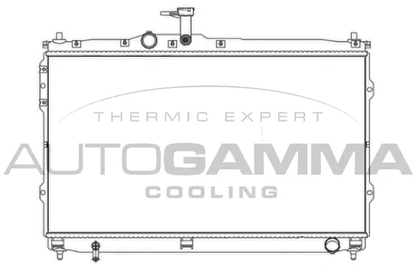 Radiator, engine cooling (107392)