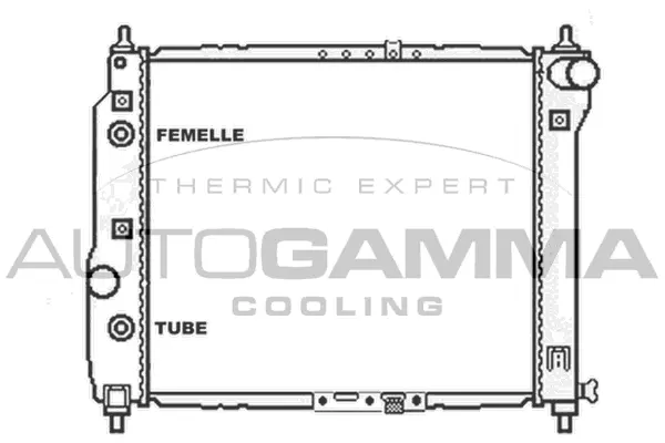 Radiator, engine cooling (103839)