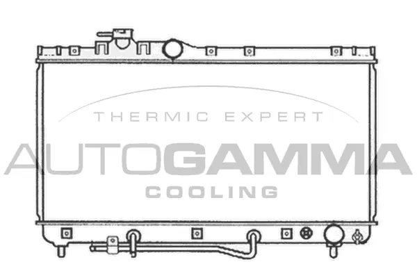 Radiator, engine cooling (103785)