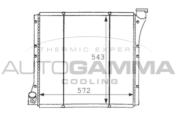 Radiator, engine cooling (101063)