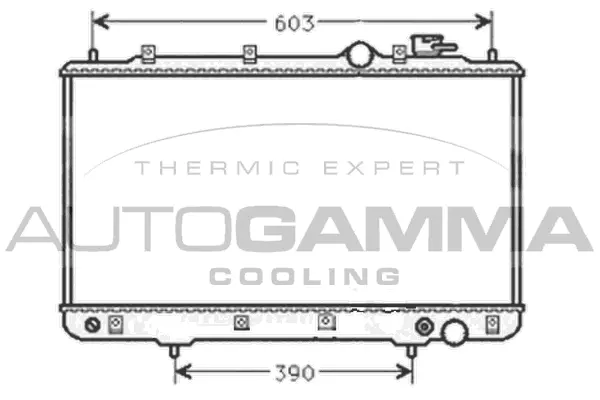 Radiator, engine cooling (101441)