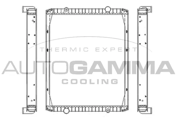 Radiator, engine cooling (400356)