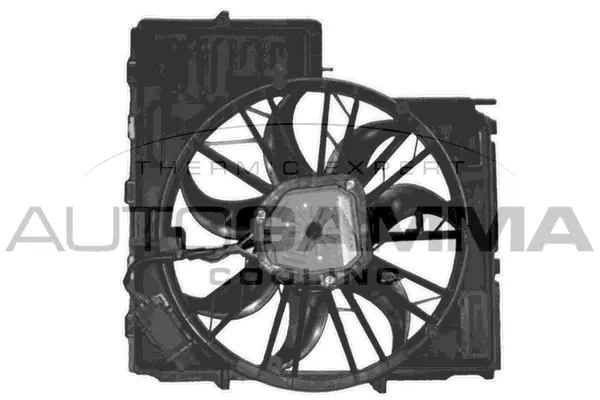 Fan, engine cooling