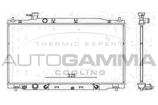 Radiator, engine cooling (107809)