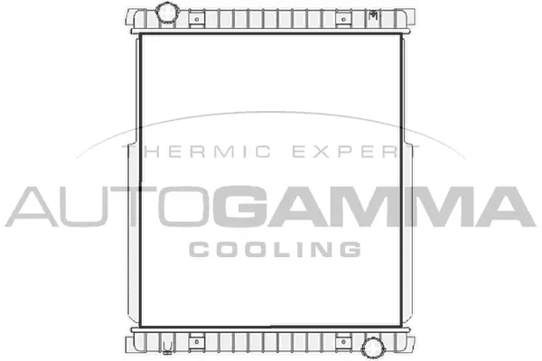 Radiator, engine cooling (404894)