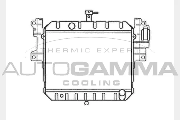 Radiator, engine cooling (104039)