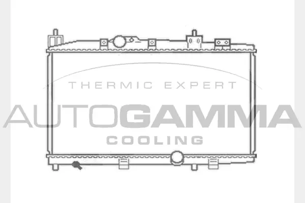 Radiator, engine cooling (104566)