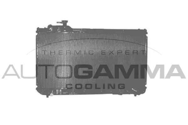 Radiator, engine cooling (101438)
