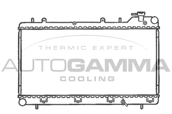 Radiator, engine cooling (102308)