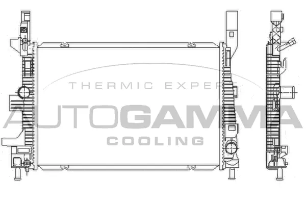 Radiator, engine cooling (110022)