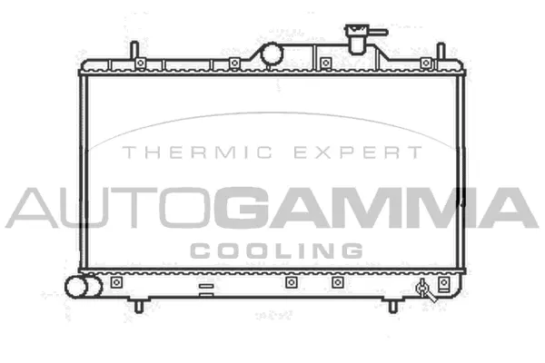 Radiator, engine cooling (107249)
