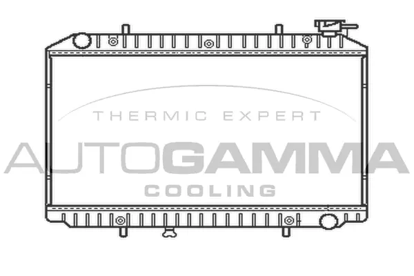 Radiator, engine cooling (102199)