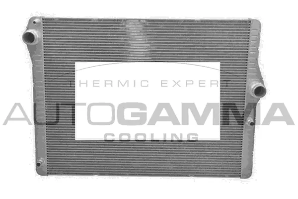 Radiator, engine cooling (107409)
