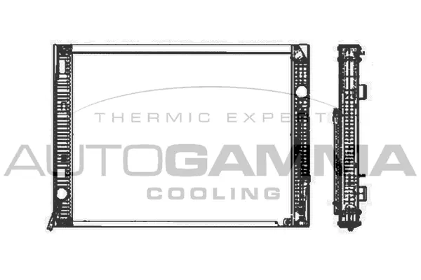 Radiator, engine cooling (404736)