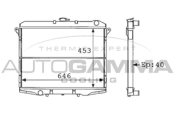 Radiator, engine cooling (101128)