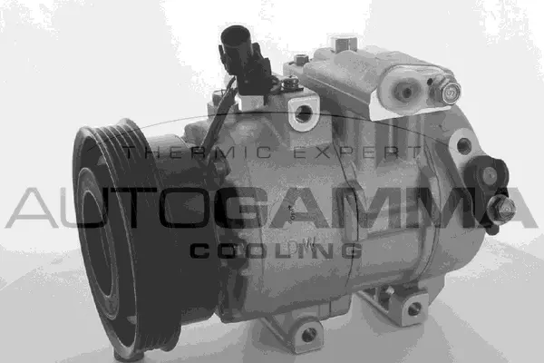 Compressor, air conditioning (118490)