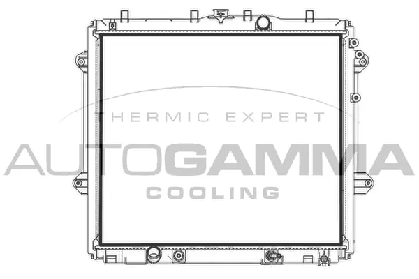 Radiator, engine cooling (107959)