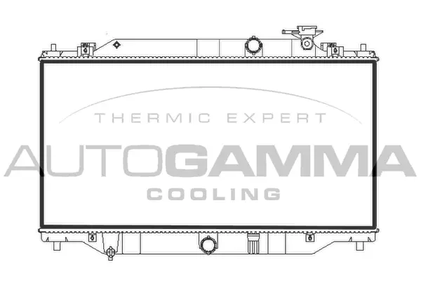 Radiator, engine cooling (107781)