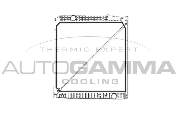 Radiator, engine cooling (401120)