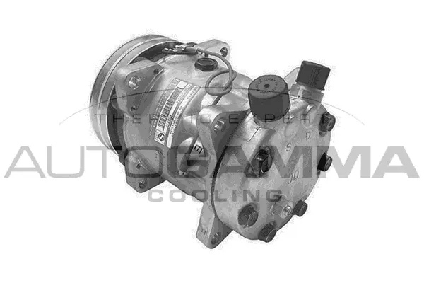 Compressor, air conditioning (108237)