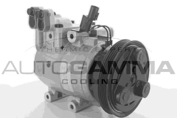 Compressor, air conditioning (108495)