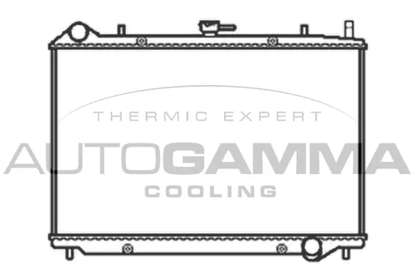 Radiator, engine cooling (103515)