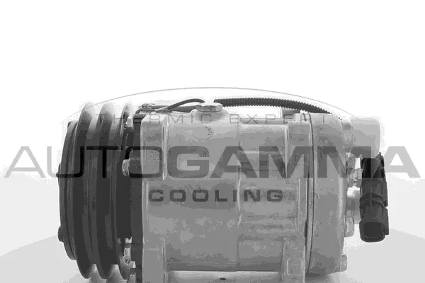 Compressor, air conditioning (118596)