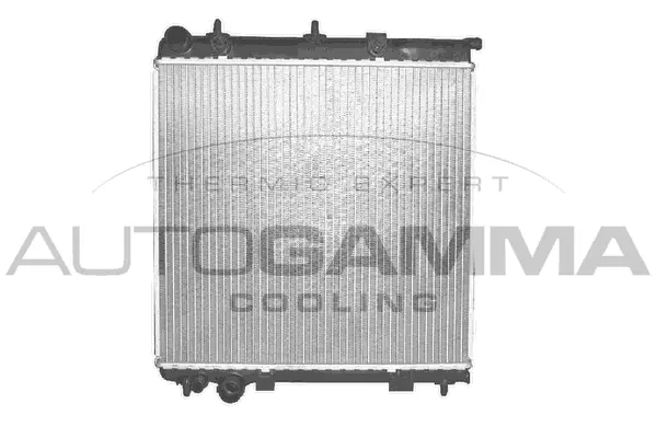 Radiator, engine cooling (102989)