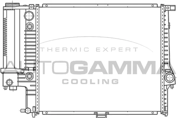 Radiator, engine cooling (100126)
