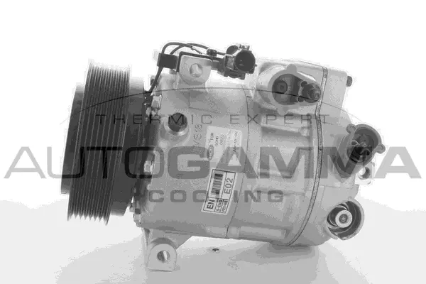 Compressor, air conditioning (118505)