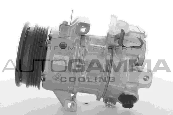Compressor, air conditioning (118384)
