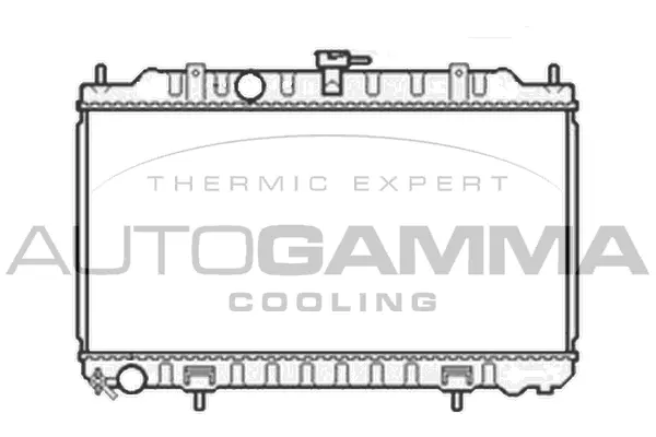 Radiator, engine cooling (105810)