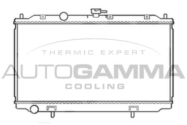 Radiator, engine cooling (103497)