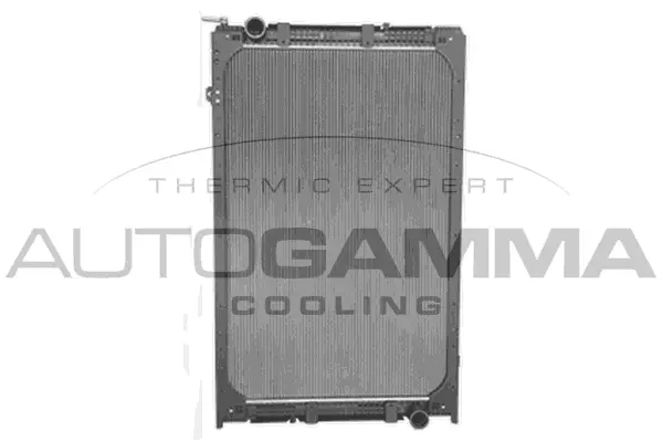 Radiator, engine cooling (404734)