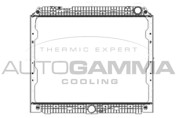Radiator, engine cooling (405528)