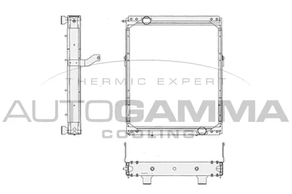 Radiator, engine cooling (404864)