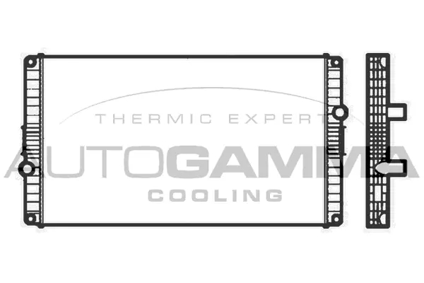 Radiator, engine cooling (404994)