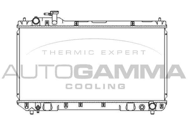 Radiator, engine cooling (107131)