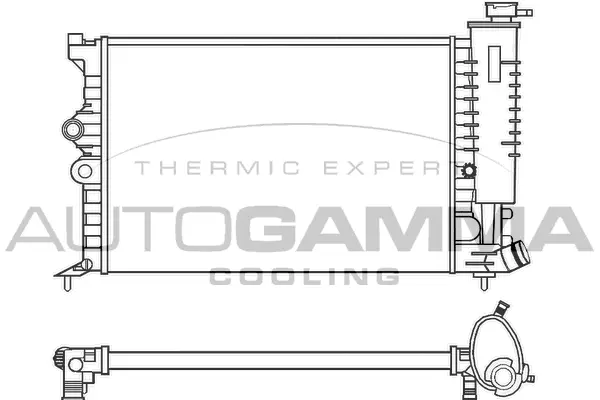 Radiator, engine cooling (100203)