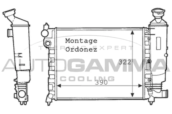 Radiator, engine cooling (100731)