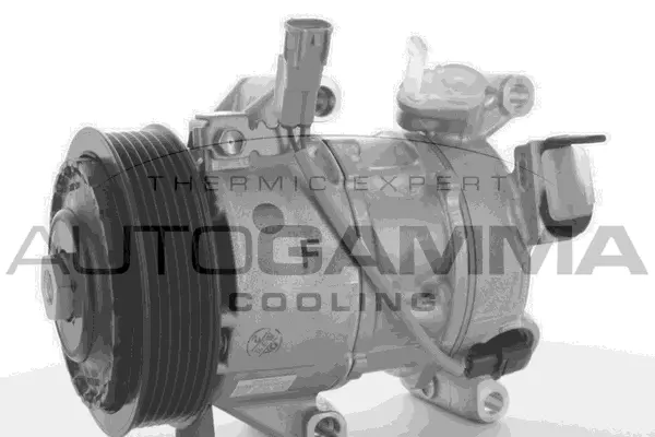 Compressor, air conditioning (118421)