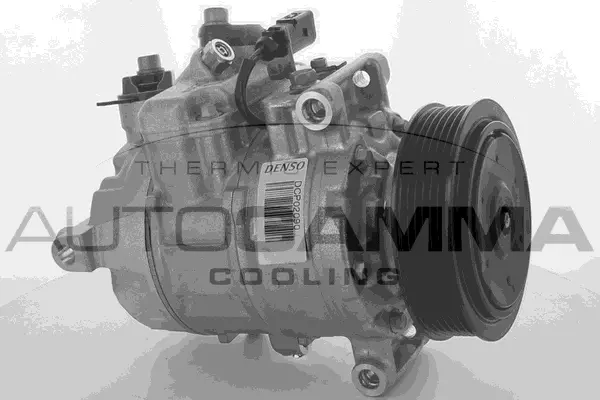 Compressor, air conditioning (118531)