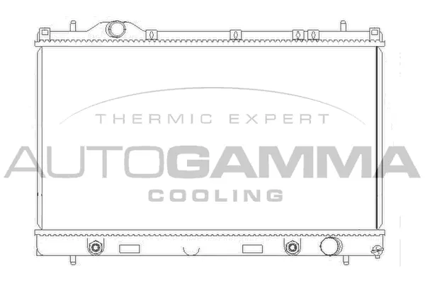 Radiator, engine cooling (103824)