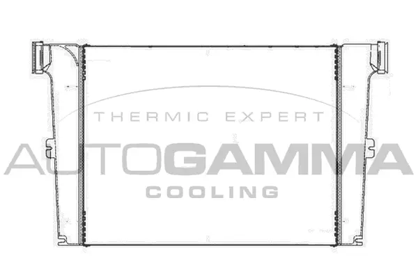 Charge Air Cooler (401502)