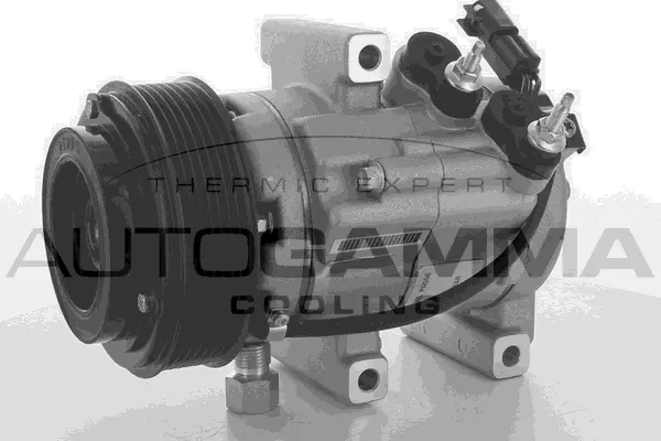 Compressor, air conditioning (118593)