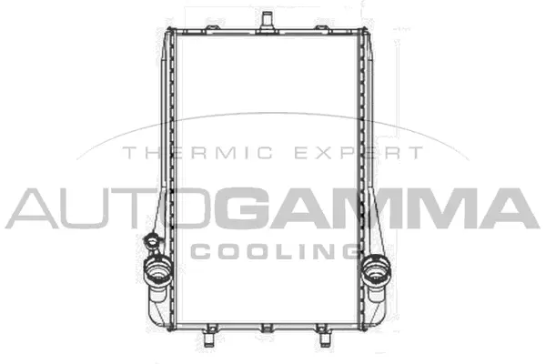 Radiator, engine cooling (104035)