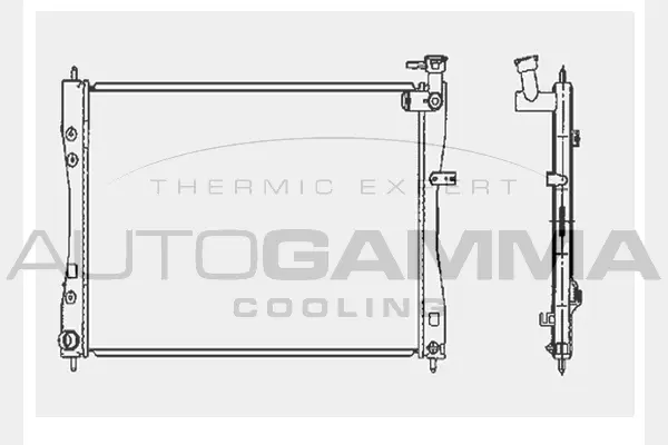 Radiator, engine cooling (104418)